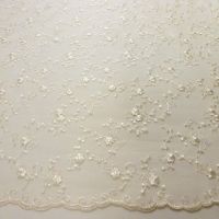 Kant ivory