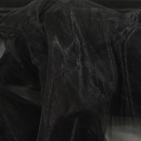 Organza polyester zwart