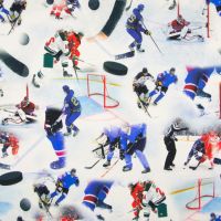 Tricot digitaal ijshockey