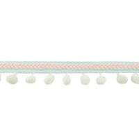 Bolletjesband Visgraat mint