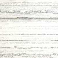 Poplin de luxe  hand geschrift  zwart white off