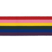 40mm Elastiek met Geweven Streep multi colors 